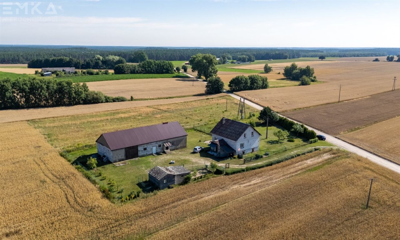 dom wolnostojący, 5 pokoi Sierosław. Zdjęcie 14