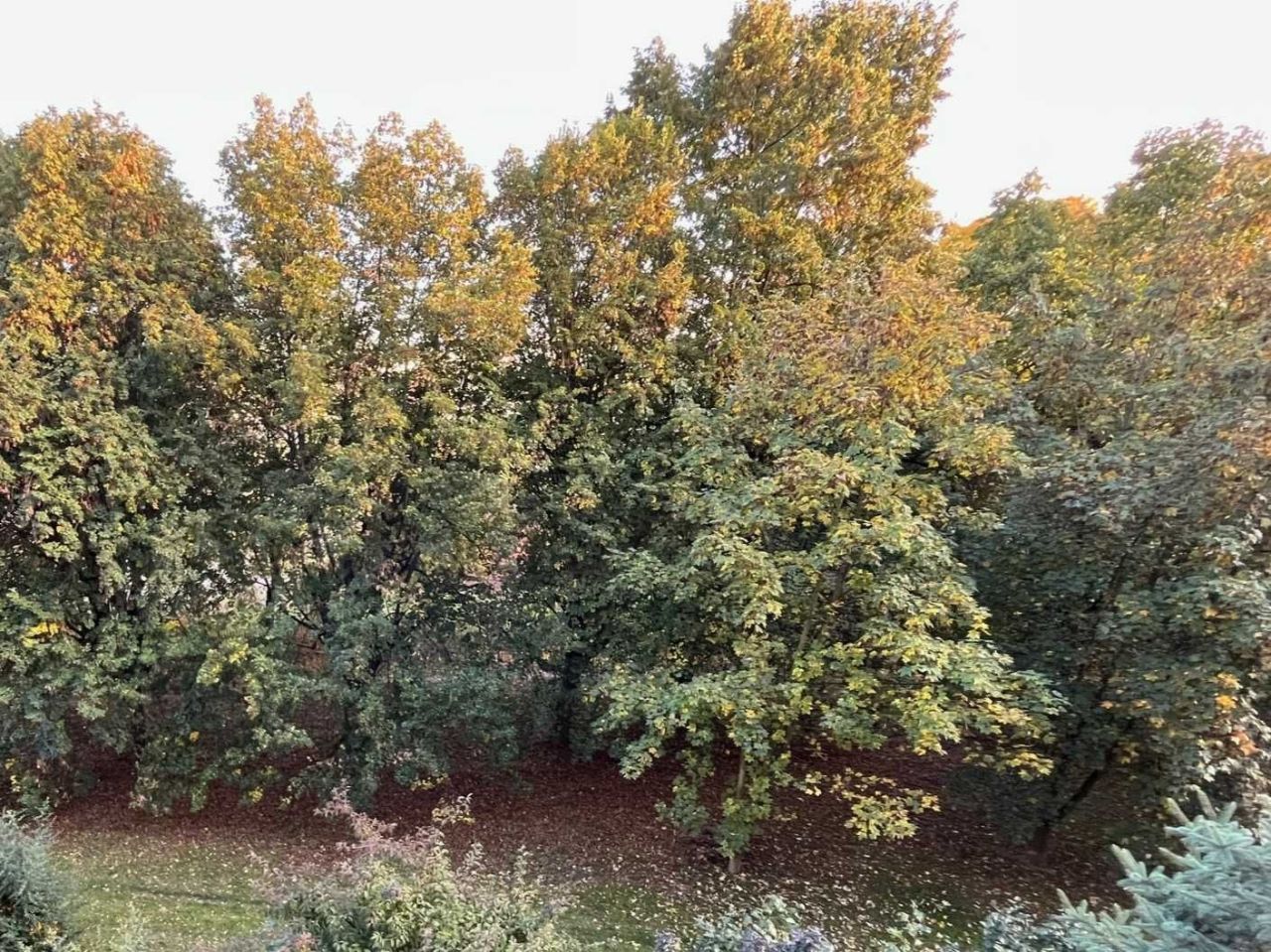 Mieszkanie 3-pokojowe Świdnica, ul. gen. Józefa Bema. Zdjęcie 7