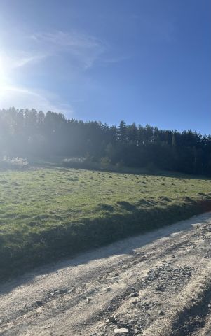 Działka inwestycyjna Kluszkowce, Za Wdżar. Zdjęcie 6