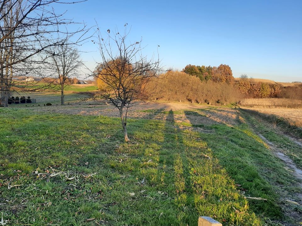 Działka rolno-budowlana Jarosław Kruhel Pawłosiowski, ul. Kruhel Pawłosiowski. Zdjęcie 2