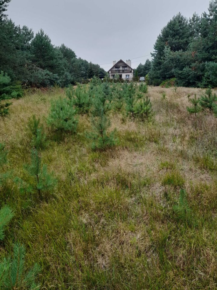 Działka rolna Podmieście. Zdjęcie 2