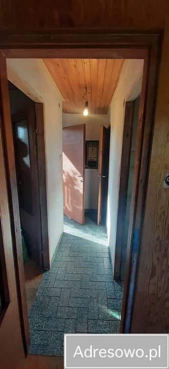 Działka rod Drzewce. Zdjęcie 10