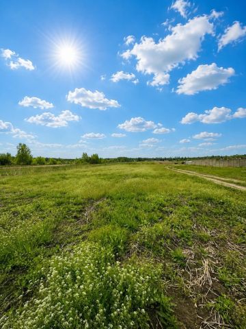 Działka Budziszewice, ul. Leśna. Zdjęcie 4