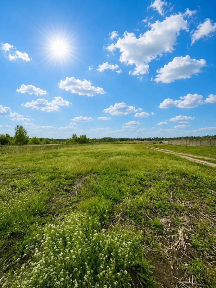 Działka Budziszewice, ul. Leśna. Zdjęcie 4