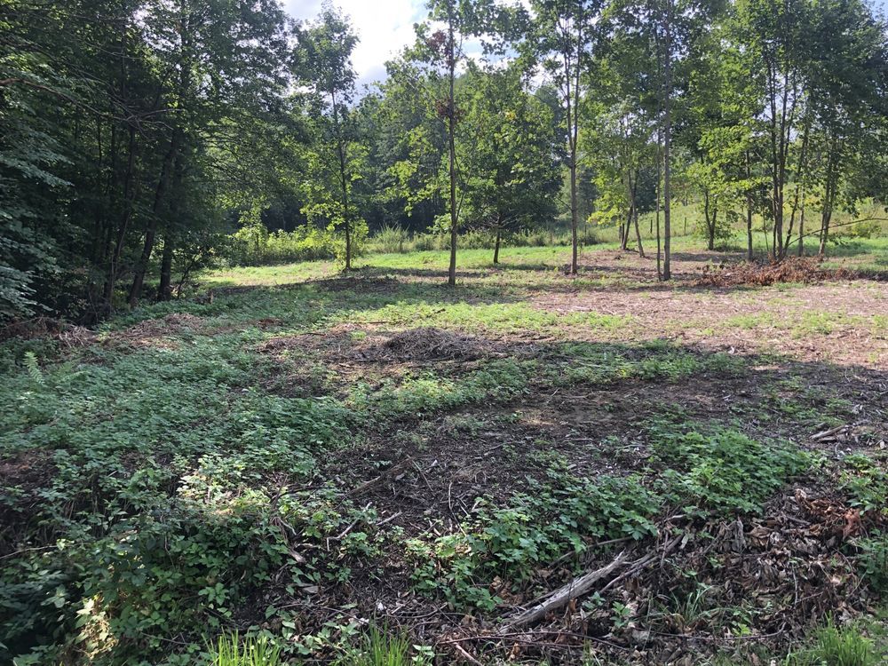 Działka Manasterz. Zdjęcie 4