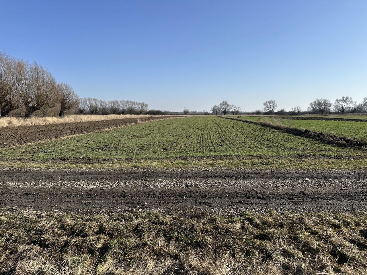 Działka rolna Łęg. Zdjęcie 4