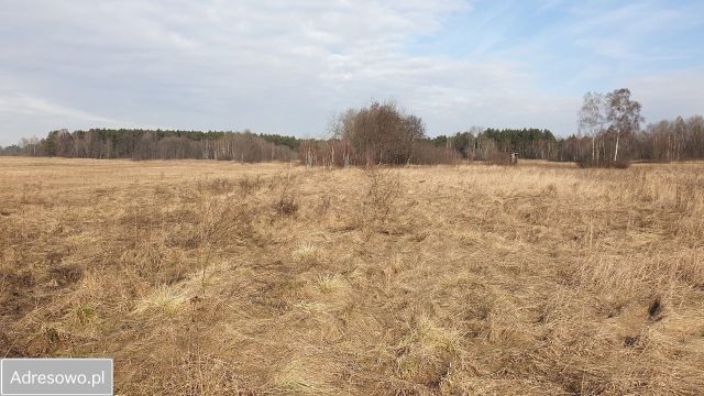 Działka rolna Żelisławice. Zdjęcie 1