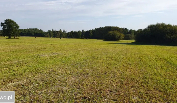 Działka rolna Olszowiec