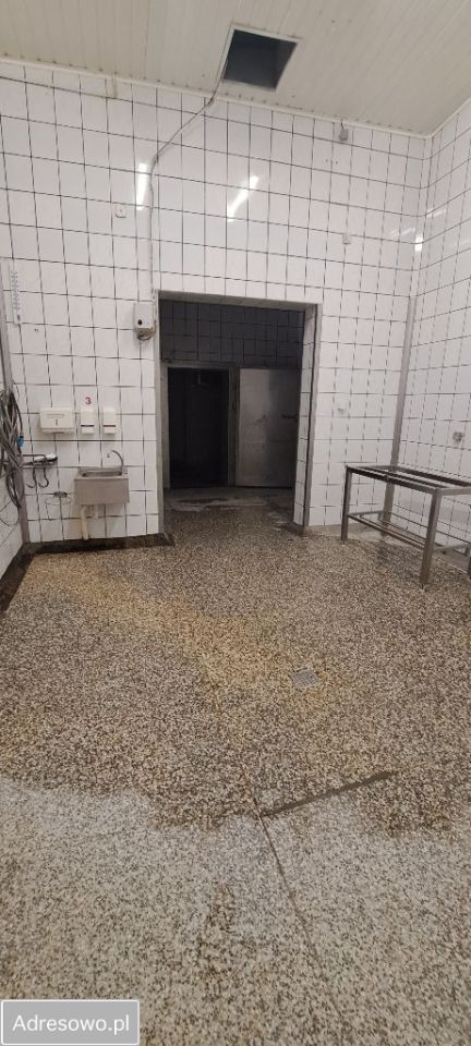 Hala/magazyn Koło, ul. Boguszyniecka. Zdjęcie 20