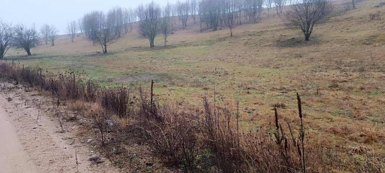 Działka rolno-budowlana Biała Woda, Biała Woda. Zdjęcie 4