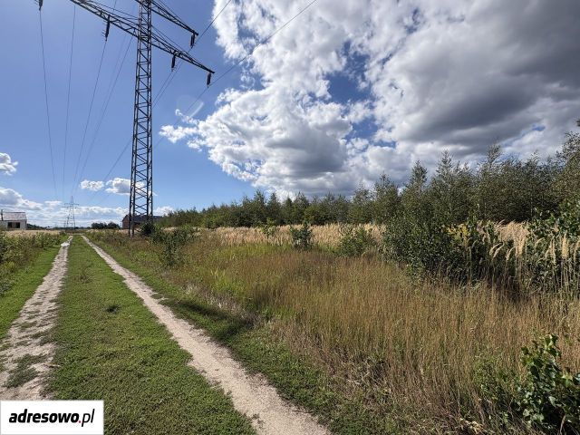 Działka budowlana Krapkowice, ul. Bukowa. Zdjęcie 1
