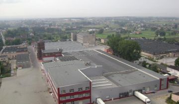 Działka inwestycyjna Cedrowice-Parcela