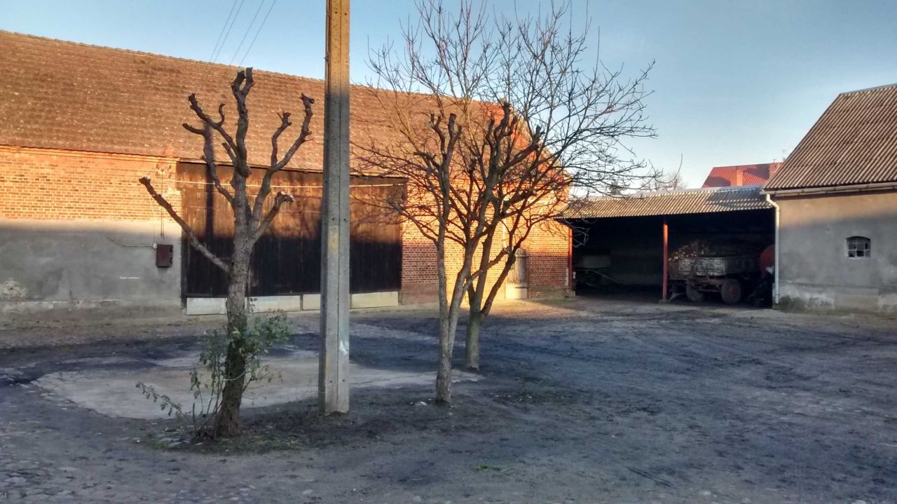 Działka budowlana Wołów. Zdjęcie 6