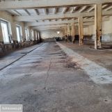 Hala/magazyn Wronin. Zdjęcie 2