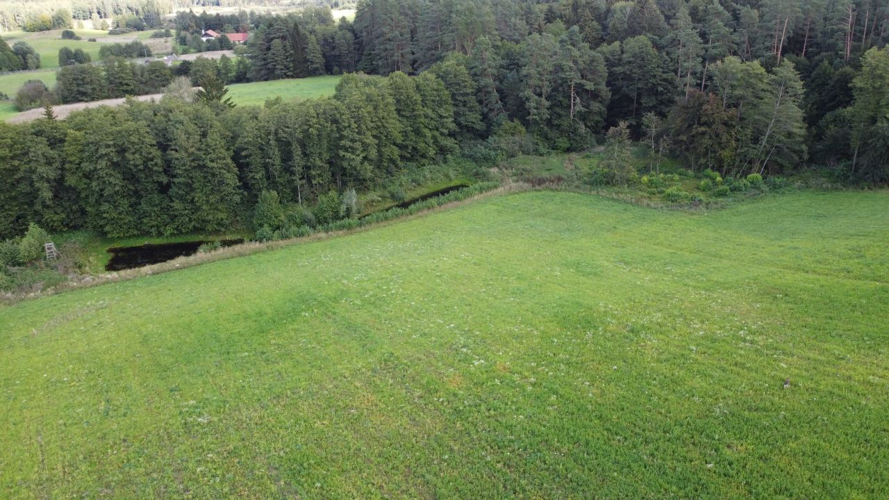 Działka budowlana Dobra Wola