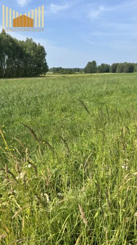 Działka budowlana Grabina. Zdjęcie 3