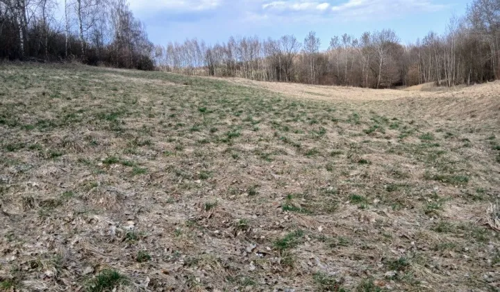 Działka rolna Czułów