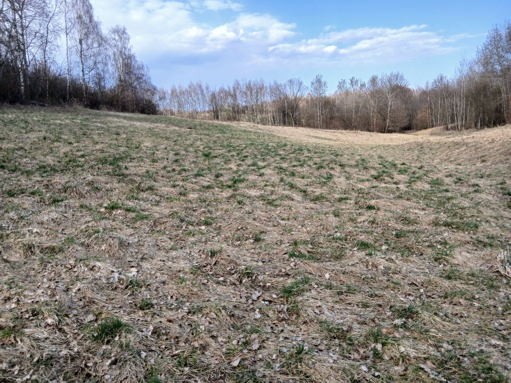 Działka rolna Czułów. Zdjęcie 1