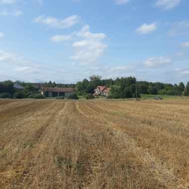 Działka rolno-budowlana Bałamutowo. Zdjęcie 6