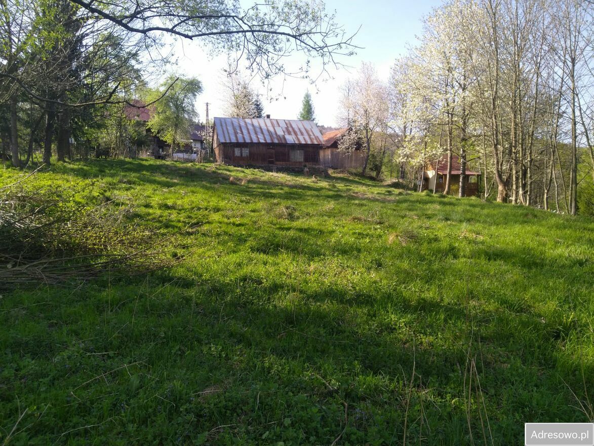 Działka siedliskowa Targoszów. Zdjęcie 7