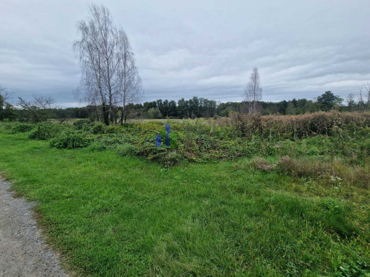 Działka budowlana Nowy Dwór. Zdjęcie 6