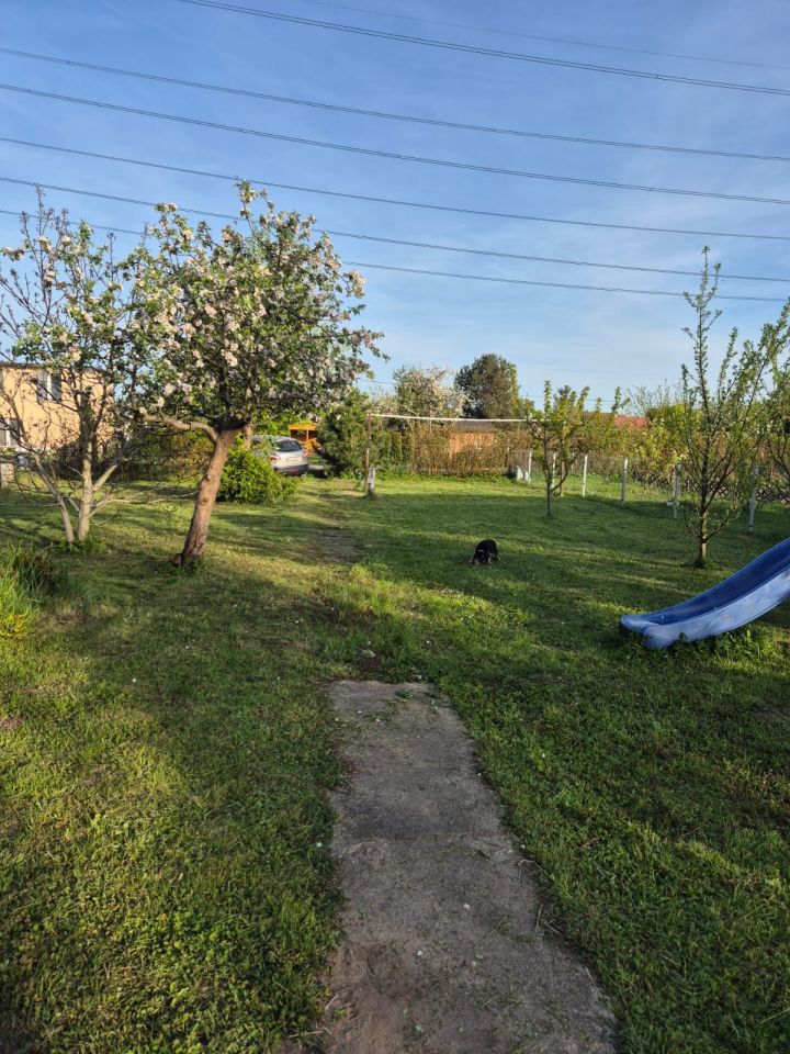 Działka rod Gdańsk Olszynka. Zdjęcie 8