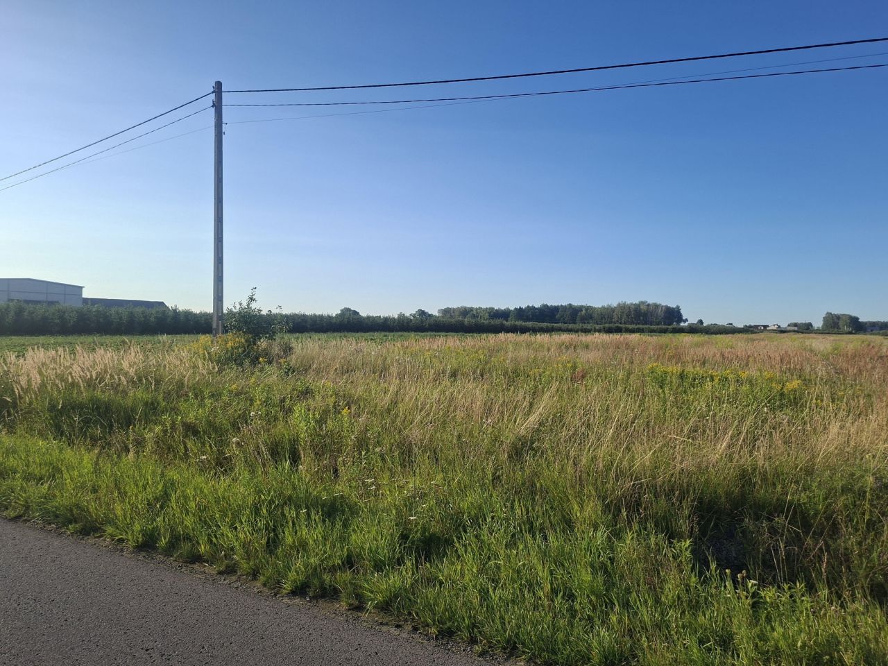Działka rolna Stefanków. Zdjęcie 2