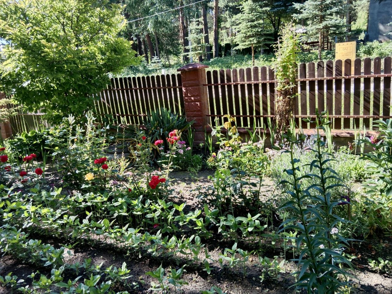 dom wolnostojący, 5 pokoi Tomaszów Lubelski, ul. Stanisława Moniuszki. Zdjęcie 16