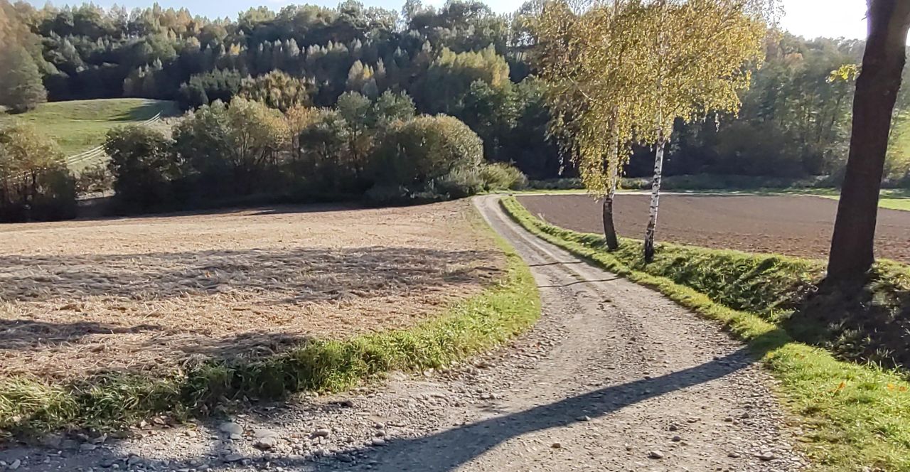 Działka siedliskowa Leńcze. Zdjęcie 3