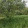 Działka rod Rzeszów Pobitno, ul. Polna. Zdjęcie 3