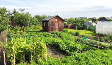 Działka rod Dąbrowa