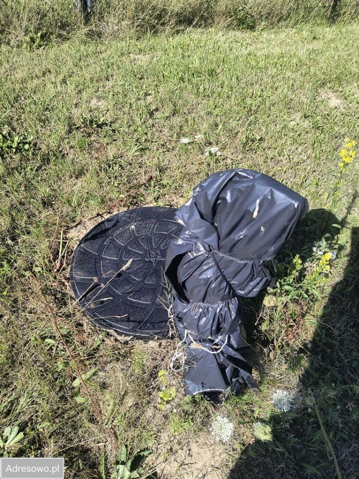 Działka rekreacyjna Perlino, ul. Leśna. Zdjęcie 4