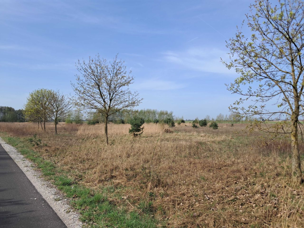 Działka rolno-budowlana Ujazd. Zdjęcie 6