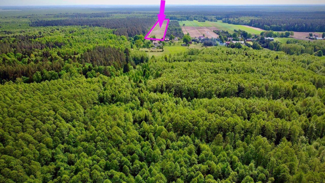 Działka siedliskowa Orzechówka. Zdjęcie 9