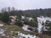 Działka rolno-budowlana Kochlew. Zdjęcie 1