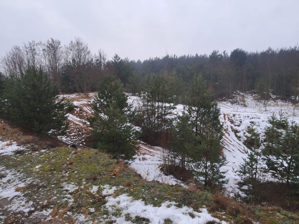 Działka rolno-budowlana Kochlew. Zdjęcie 2