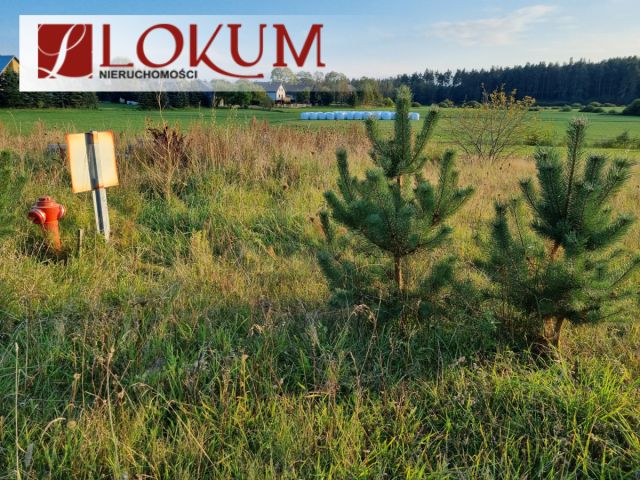 Działka budowlana Lipusz. Zdjęcie 1