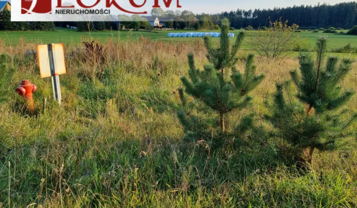 Działka budowlana Lipusz