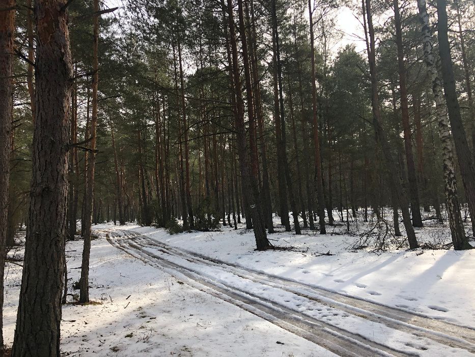 Działka rekreacyjna Biała Góra. Zdjęcie 2