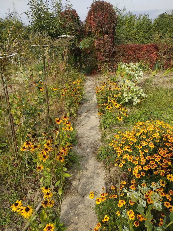 Działka rekreacyjna Oława, ul. Jana Kilińskiego