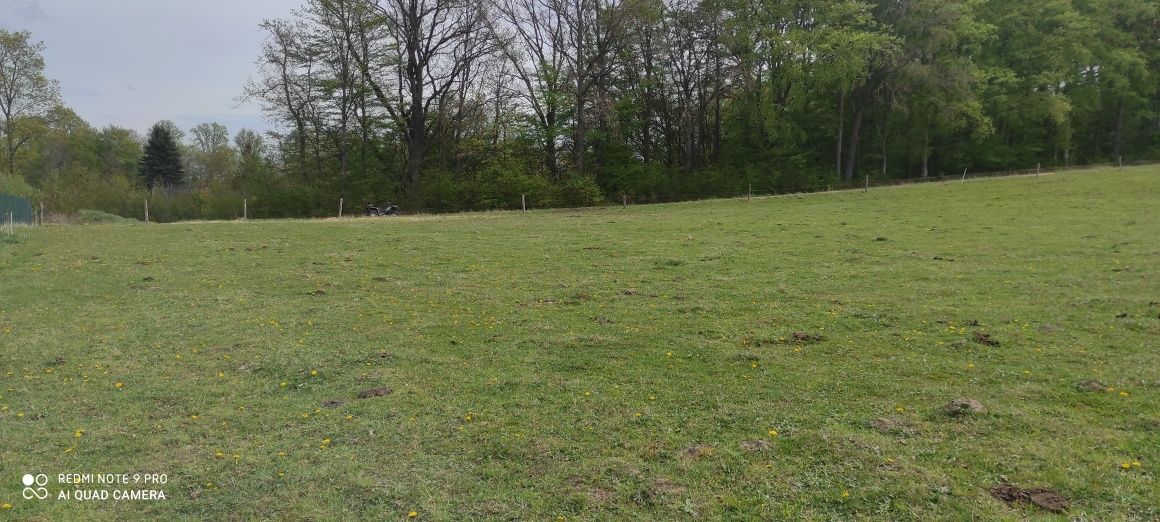 Działka rolno-budowlana Ciekocinko. Zdjęcie 4