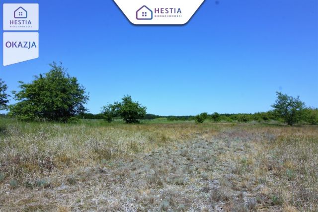 Działka rolna Wieńkowo. Zdjęcie 1