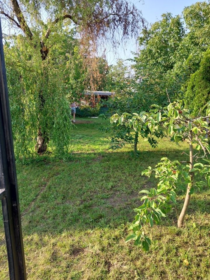 Działka rod Buk, ul. Andrzeja i Władysława Niegolewskich. Zdjęcie 6