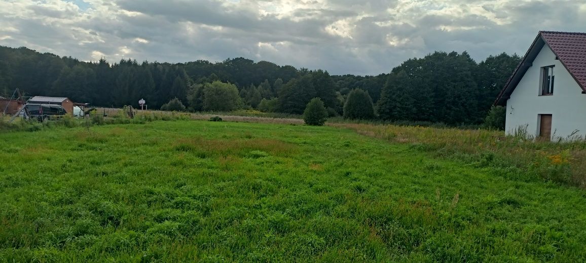Działka budowlana Santocko. Zdjęcie 1