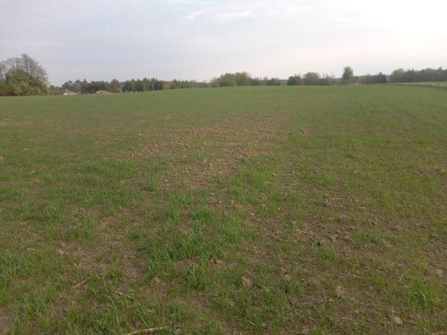 Działka rolna Karbowskie. Zdjęcie 3