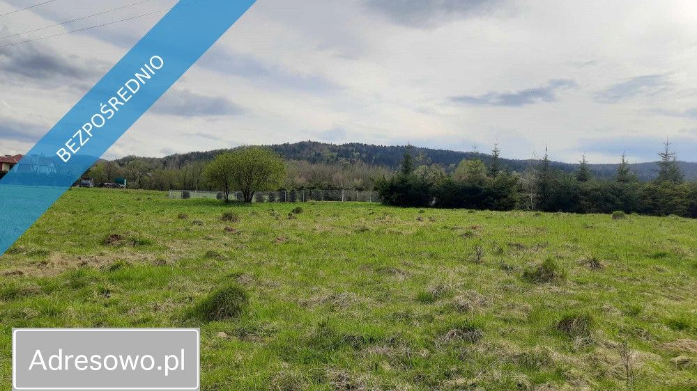 Działka rolna Wysowa-Zdrój. Zdjęcie 2