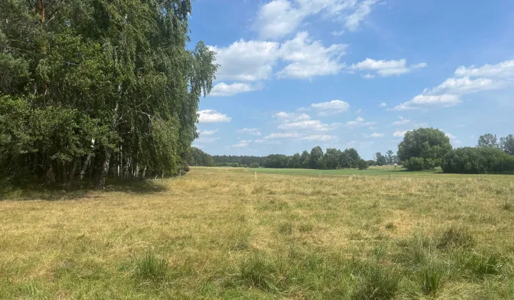 Działka rolno-budowlana Biernacice