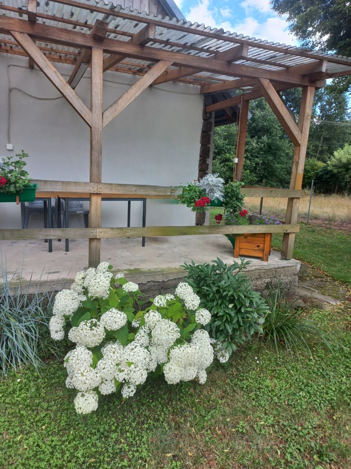 Działka budowlana Wólka Podleśna Zagrody. Zdjęcie 6