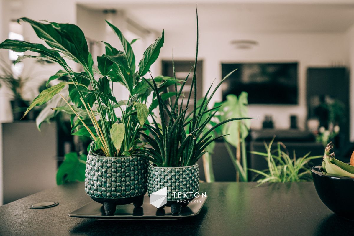 Mieszkanie 4-pokojowe Gdynia Wielki Kack, ul. ks. Jana Pawła Siega. Zdjęcie 9