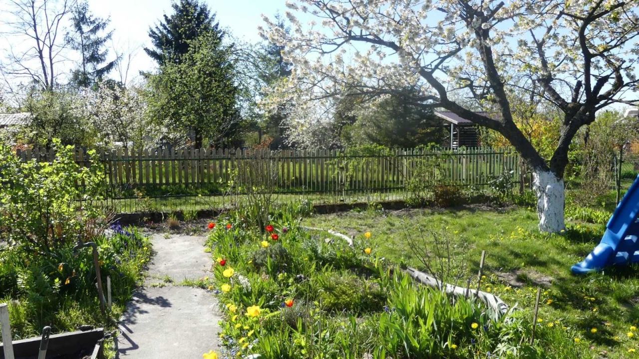 Działka rod Kielce, ul. Wrzosowa. Zdjęcie 3